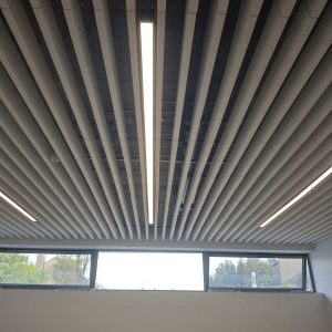 project-carnegie-library-image-17